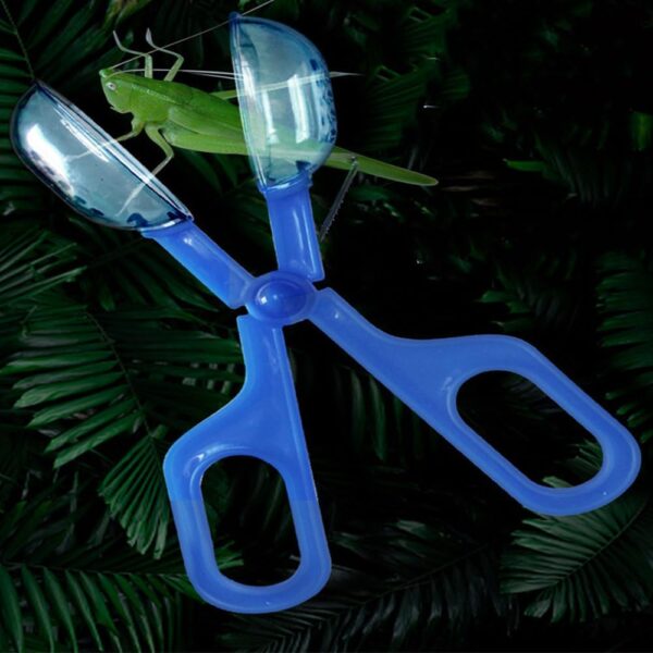 WANGSONGSONGZHY Reptile Feeding Tool Reptile Feeding Tongs Cricket Clamp Bug Scooper for Reptile Hedgehog Hamsters Guinea Pig Lizard Spider Bearded Dragon (Blue) (blue) - Image 5
