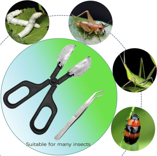 IAFVKAI Reptile Feeding Tongs Crickets Clamp Curved Feeding Tweezers Terrarium Cleaning Tools with Small Water Dish 3 in 1 for Insects Lizard Bearded Dragon Turtle Snake Spider Frog Gecko Chameleon - Image 6