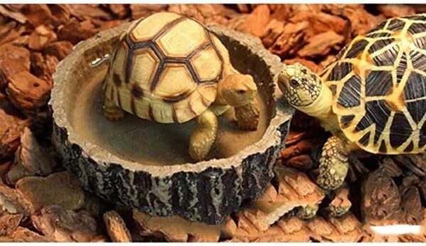 Saim Small Crawler Pet Feeding Round bowl Food Water Non-toxic Resin Dish Suitable for Reptile Turtle Tortoise Scorpion Lizard Crabs Pets Supplies - Image 2