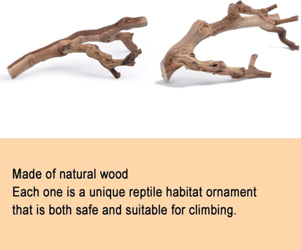 BNOSDM 2PCS Reptile Wood Branches Decor Lizard Habitat Decoration Snake Climbing Branch Accessories Terrarium Tree Trunk Ornament for Bearded Dragon Gecko Frog Chameleon Spider - Image 4