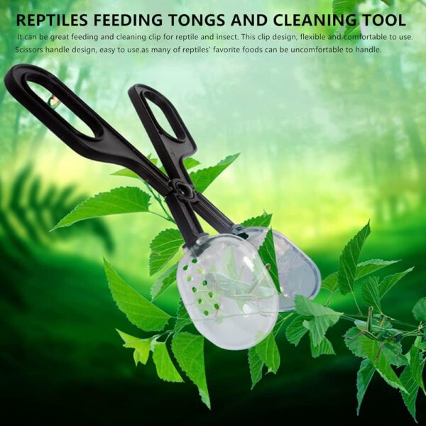 NA 3 Pieces Reptile Feeding Clip Tongs Reptile Feeding Scooper Clamp Lizard Beetle Insect Catch Clamp for Tortoise Lizard Frog Spider Tarantulas - Image 4