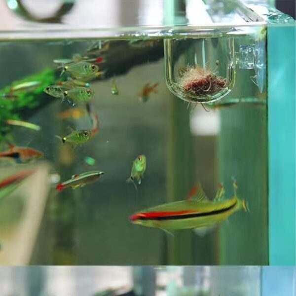 2 Pcs Red Worm Feeder Acrylic Fish Tank Plant Shrimp Feeder Bowl Floating Bloodworm Water Food Dish Fish Feeding Cup with Suction Transparent Fish Feeding Cup Tank for Aquarium Reptiles - Image 5