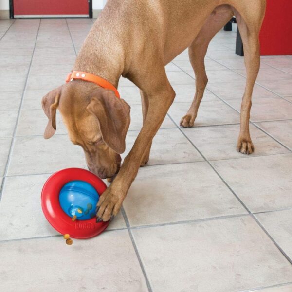 KONG - Gyro - Interactive Treat Dispensing Dog Toy - For Small Dogs - Image 2