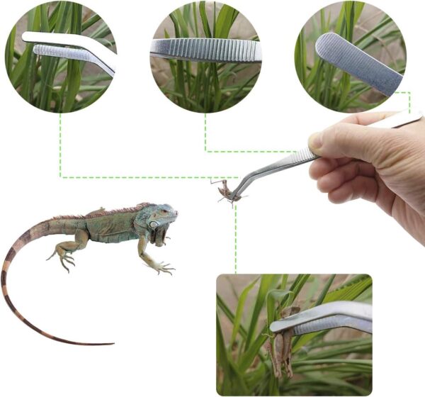IAFVKAI Reptile Feeding Tongs Crickets Clamp Curved Feeding Tweezers Terrarium Cleaning Tools with Small Water Dish 3 in 1 for Insects Lizard Bearded Dragon Turtle Snake Spider Frog Gecko Chameleon - Image 4