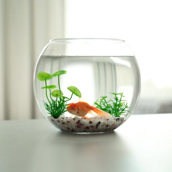 OMJMYY 21 Pack Aquarium Plants Artificial Fish Tank Plants Artificial Aquarium Fish Tank Plastic Plants Tropical Fish Tank Plants Fish Tank Decorations for Fish Tank Decor Aquarium Decor - Image 7