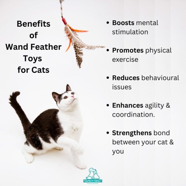 Pawfect Family® Teaser Wand with Wooden Handle and 6 Feather-Plush Attachments - Extendable und Retractable Fishing Rod Stick for Cats (SandFeatherLight, 40-102 CM) - Image 4