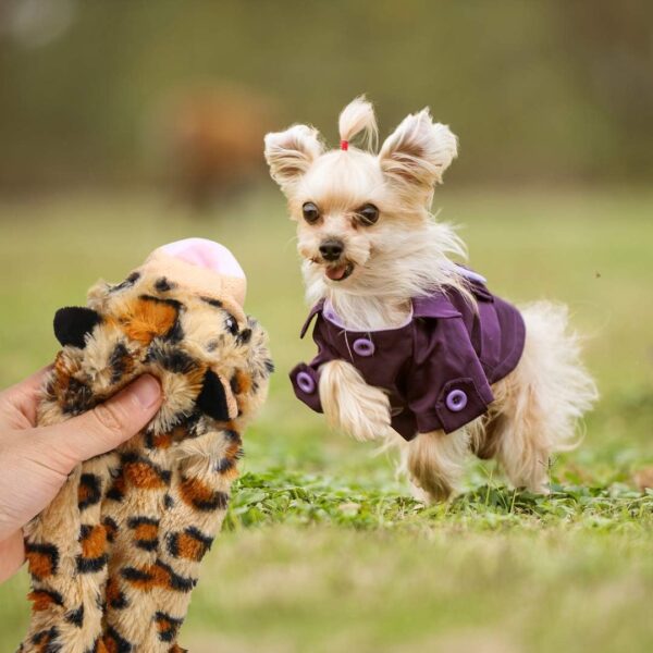 Jeeper Squeaky Dog Toys, 3 Pack no Stuffing Durable Plush Dog Squeaky Chew Toys Set for Puppy Small Medium Large Dogs Playing Making Fun, Wolf, Tiger, Leopard and Lion - Image 7