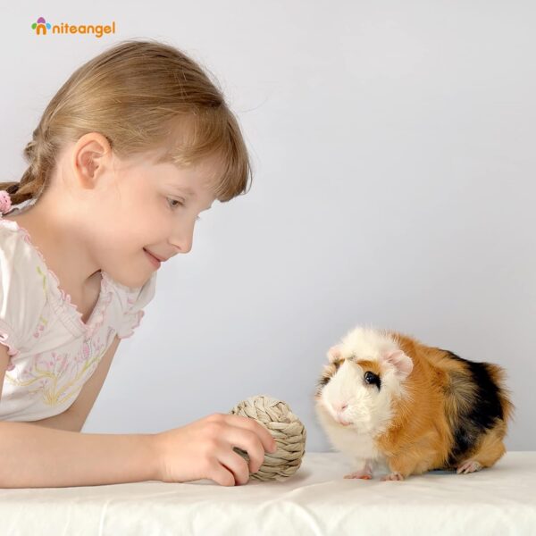 Niteangel Natural Chew Activity Toys Fun Safe Hay Grass Pet Balls for Chinchilla Guinea Pig Rats Rabbits Hamster Gerbil Degu Bunny and Other Small Animals (8 Balls) - Image 7
