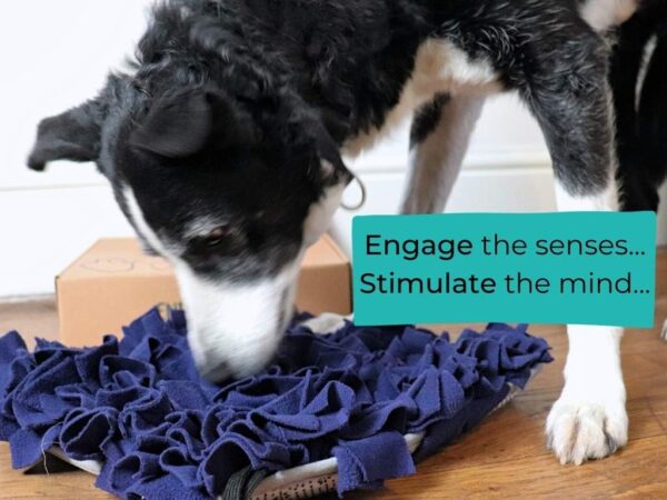 The Enrichment Box Snuffle Mat for Dogs Puppies, Interactive Dog Toys, Brain Games and Puzzle Feeder, Foraging Scent Work - Image 5