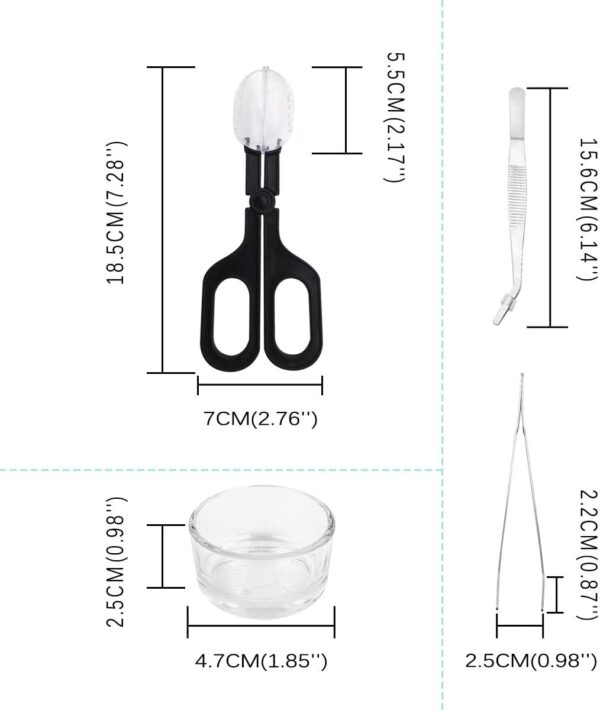 IAFVKAI Reptile Feeding Tongs Crickets Clamp Curved Feeding Tweezers Terrarium Cleaning Tools with Small Water Dish 3 in 1 for Insects Lizard Bearded Dragon Turtle Snake Spider Frog Gecko Chameleon - Image 2