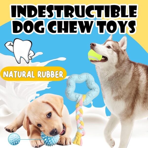 10Pcs Dog Chew Toys for Small Dogs, Puppy Teething Ball Toys, Dog Toys for Boredom, Squeaky Plush Dog Toys Set for Small Medium Dogs - Image 5