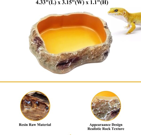 Reptile Growth 4 Pieces Reptile Water Dish Food Bowl Set Includes 2 Food Feeder Bowl Resin Reptile Bowl Water Bowl 2 Feeding Tweezer Tong for Pet Tortoise Lizard Frog Gecko Snake Chameleon - Image 2