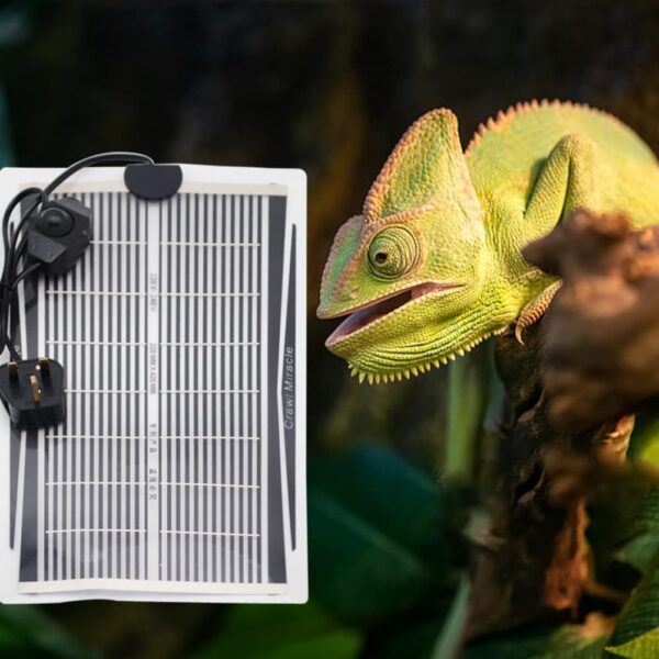 Reptile Heat Pad, Adjustable Temperature Control Lizard Terrarium Heating Mat for Small Animals Snake Turtle Bearded Dragon Gecko (25W) - Image 6