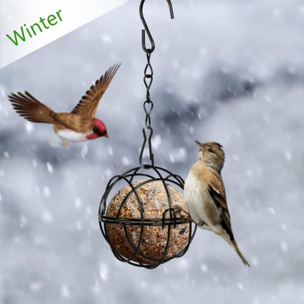 SUNYOK 4 Pcs Fat Ball Feeders Hanging Bird Feeder Metal Fat Ball Bird Holder with 4 S-shaped hooks for Outdoor Garden Wildlife Birds Finch Sparrow Robin - Image 6