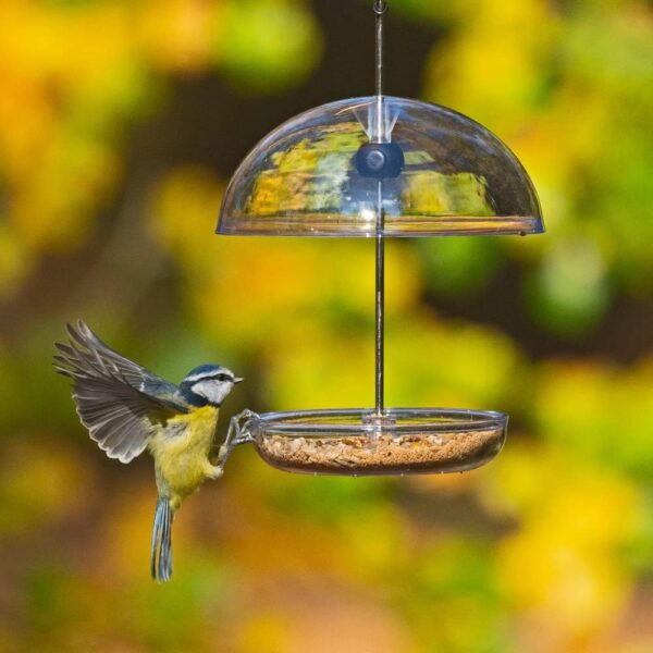 Clear Hanging Bird Feeders For Small Birds - Jacobi Jayne® I Love Robins® Pearl Feeder™ - Attracts Small Garden Birds. HangIng Bird seed Feeder Perfect For Seed Mixes And Mealworms. - Image 4