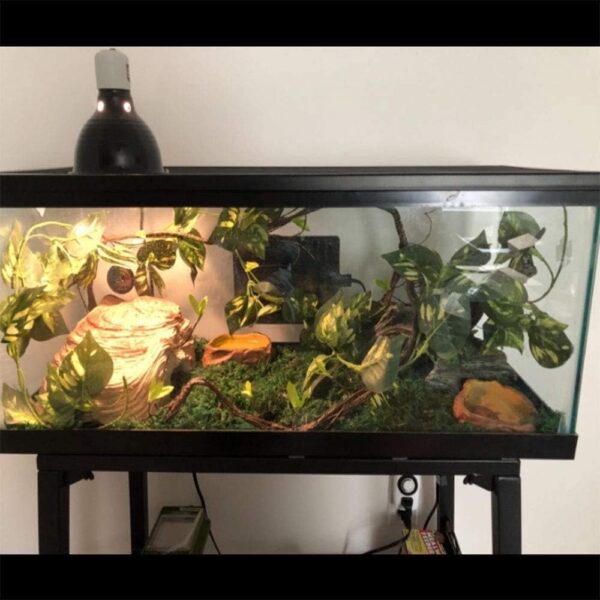 PINVNBY Flexible Bend-A-Branch Jungle Reptile Vines Artificial Climber Plastic Terrarium Leaves Pet Habitat Decor for Lizard Frogs Snakes 3 PCS - Image 6