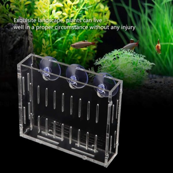Fish Tank Water Plants Planter Aquarium Plant Water Grass Cup Landscape Plants Cultivation Basin Cup with Suction Cups Acrylic Flowerpot Home Decor - Image 2