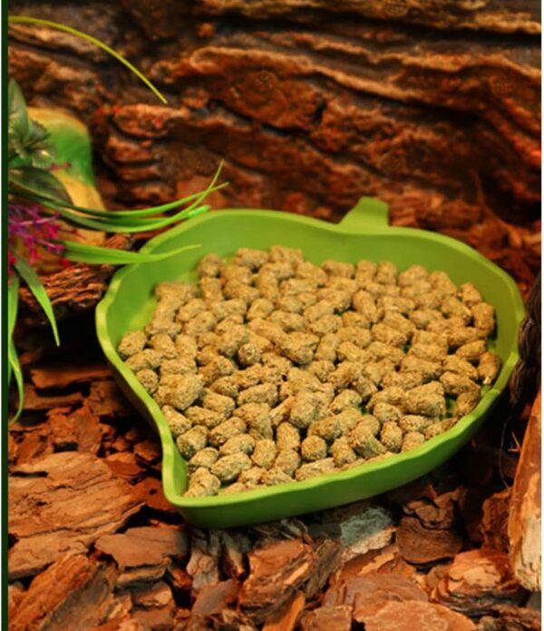 PINVNBY Reptile Food Water Bowl 2 in 1 Feeding Dish Automatic Dispenser Turtle Feeders Waterer With Leaf Plate Dish for Lizards Tortoises Gecko Chameleon 2 PCS (blue) - Image 6