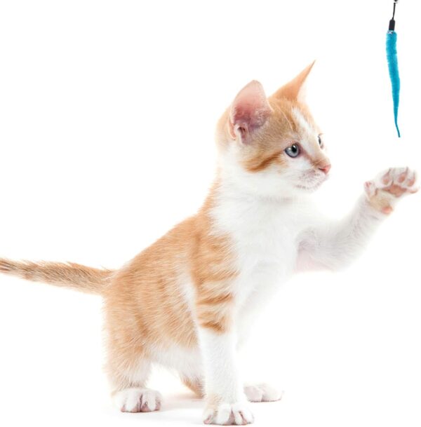 24 Pieces Worms Toys Replacement, Cat Toy Interactive Cat Wand Replacement for Cat and Kitten - Image 4