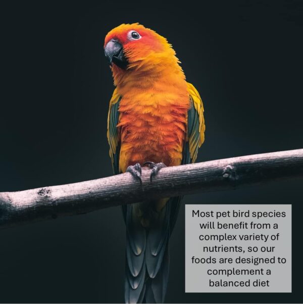 Millet Sprays x 10 Premium Cage Bird Food Seed - Image 2