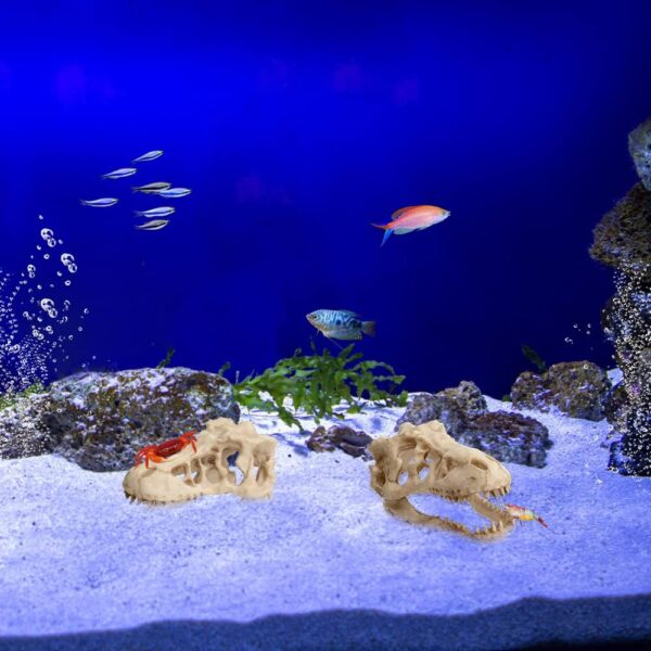 Saim Aquarium Ornaments, Large Dinosaur Skull Decorations Non-Toxic Vivarium Decoration Emulational Reptile Hide Aquarium Cave For Reptile and Fish - Image 7