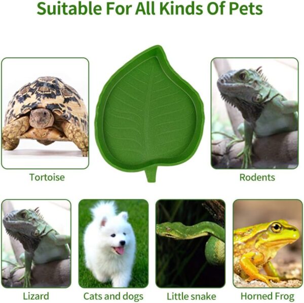 Phoetya Reptile 2 Pcs Leaf Reptile Food Water Bowl Plate Dish,Reptile Feeder for Tortoise Corn Snake Crawl Pet Drinking and Eating, 2 Sizes - Image 6