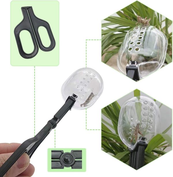 IAFVKAI Reptile Feeding Tongs Crickets Clamp Curved Feeding Tweezers Terrarium Cleaning Tools with Small Water Dish 3 in 1 for Insects Lizard Bearded Dragon Turtle Snake Spider Frog Gecko Chameleon - Image 3