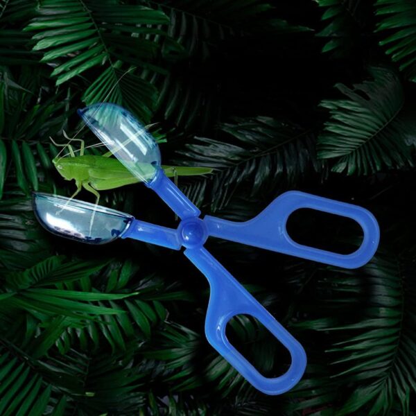 Frotox Reptile Feeding and Poop Cleaning Tools Amphibian Feeding Tongs Clip with Vents for Fish Aquariums and Various Insects - Image 5