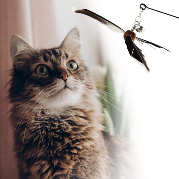 cobee Cat Wand Toys, Interactive Cat Toys with 2 Feather Refills, Cat Feather Propeller Wand Toy with Bell, Cat Feather Toys Replacement Refills, Indoor Cat String Toy for Kitten Training(Piebald) - Image 7