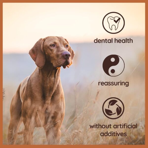 Wildfang® | Chewing Root Made from Tree Heather for Dogs, Dental Care & Masticatory Muscle Training, Natural chew Toy…… - Image 5