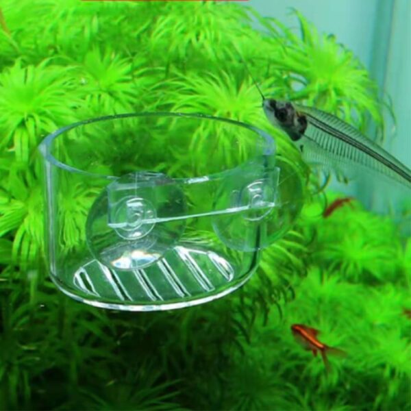 2 Pcs Red Worm Feeder Acrylic Fish Tank Plant Shrimp Feeder Bowl Floating Bloodworm Water Food Dish Fish Feeding Cup with Suction Transparent Fish Feeding Cup Tank for Aquarium Reptiles - Image 3