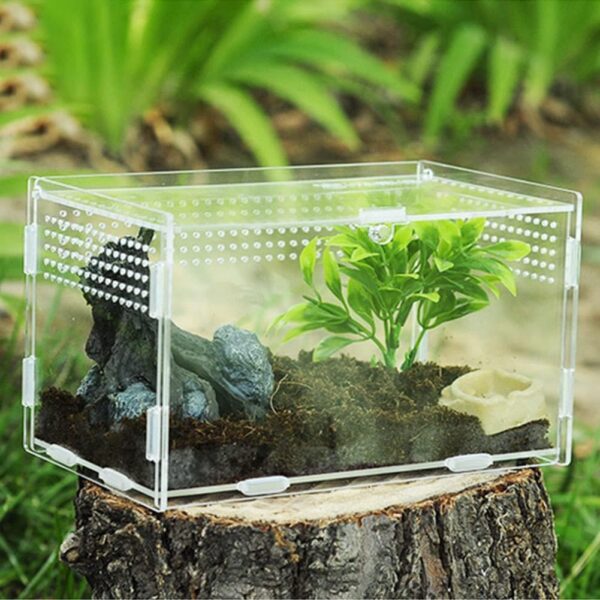 Reptile Terrarium - Climbing Pet Breeding Box - Reptile Breeding Enclosure Terrarium Cage for Tarantulas Amphibians Caterpillars Snail Supplies Fowybe - Image 3