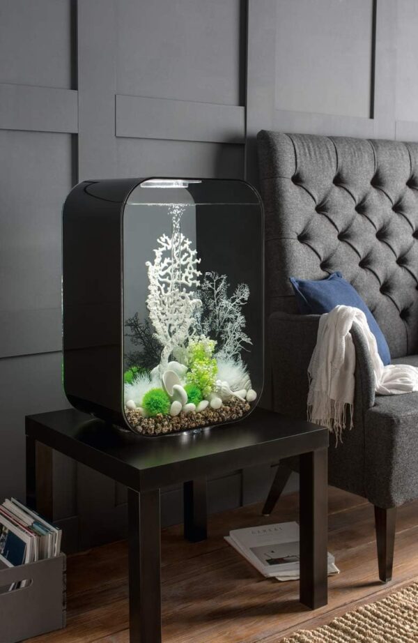 biOrb Horn Coral S Black - Image 6
