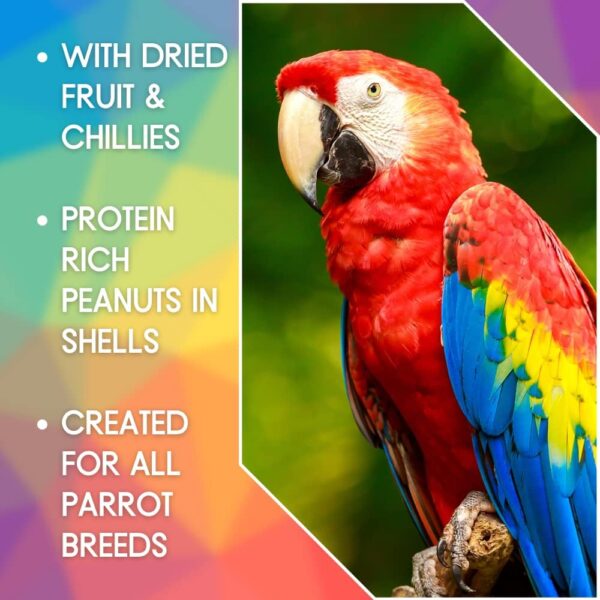 SkyGold Oasis Parrot Seed 12.5kg - Parrot Seed Mix for African Greys, Parakeets, Cockatiels, Balanced & Healthy Cage & Aviary Bird Food with Sunflower Seeds - Image 2