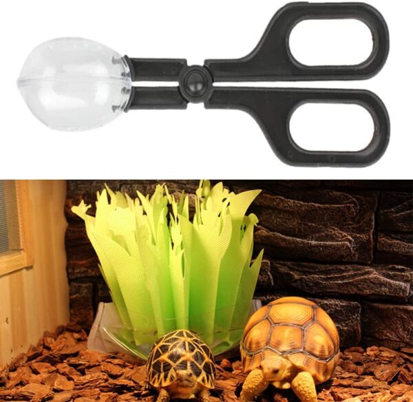 NA 3 Pieces Reptile Feeding Clip Tongs Reptile Feeding Scooper Clamp Lizard Beetle Insect Catch Clamp for Tortoise Lizard Frog Spider Tarantulas - Image 5