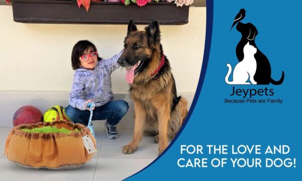 Jeypets Snuffle Mat for Dogs | Premium Interactive Dog Toy Puzzle to Encourage Natural Foraging Skills | Dog Toys for Boredom for Stress Relief Slow Feeding and Agility - Image 2