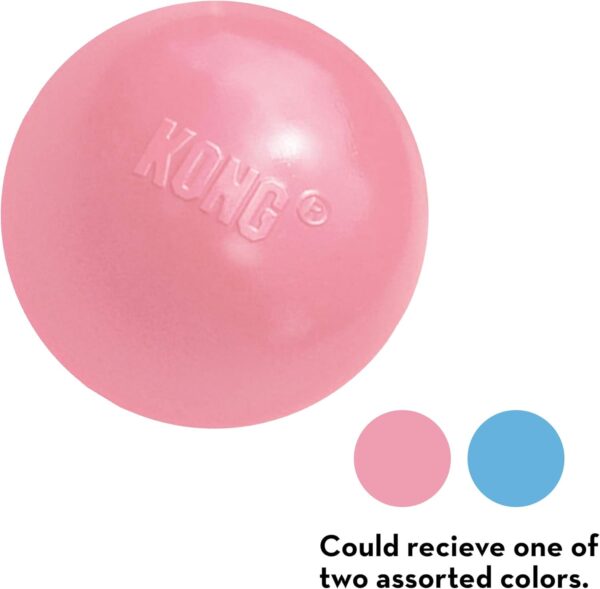KONG - Puppy Ball - Soft Rubber, Dog Fetch Toy for Teething Pups - For Small Puppies (Assorted Colors) - Image 3