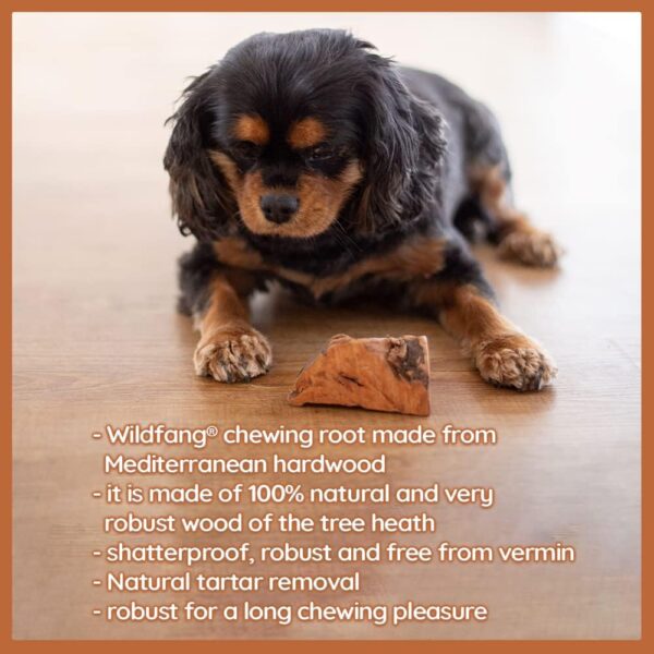 Wildfang® | Chewing Root Made from Tree Heather for Dogs, Dental Care & Masticatory Muscle Training, Natural chew Toy…… - Image 3