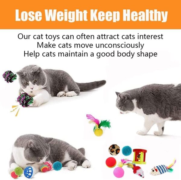 21 Pcs Cat Toys for Indoor Cats Adults, Kitten Toys for Indoor Cats, Cat Tunnel Toys, Cat Toys Set Feather Wand Ball Toy for Kitten Cats - Image 6