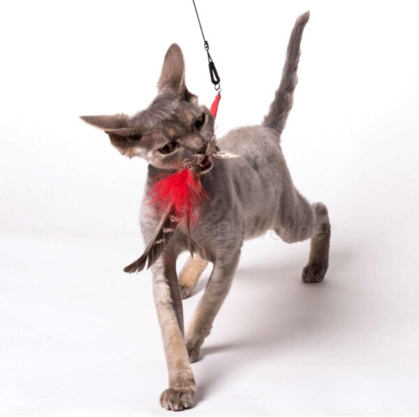 Purrs Feather Spinning Attachment - Single - Fits PurrSuit, Da Bird & Frenzy Wand Cat Toys - Image 4