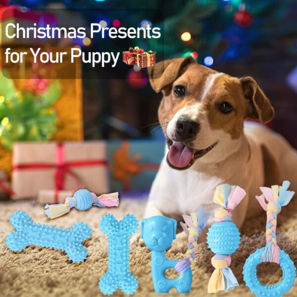 JYPS Puppy Chew Toys, 4pcs Dog Teething Chewing Toy Set with Ball and Cotton Ropes, Aggressive Chew Toys, Interactive Pet Toys Gift Pink for 8 Weeks Small Puppies and Medium Dogs (Blue) - Image 7