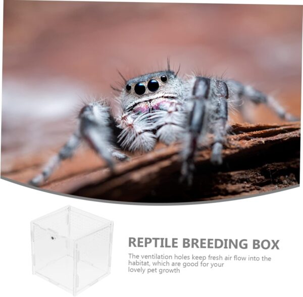 Ipetboom Reptiles Plastic Animals Small Plastic Containers Small Animal Products Snake Dealspet Supplies - Image 3