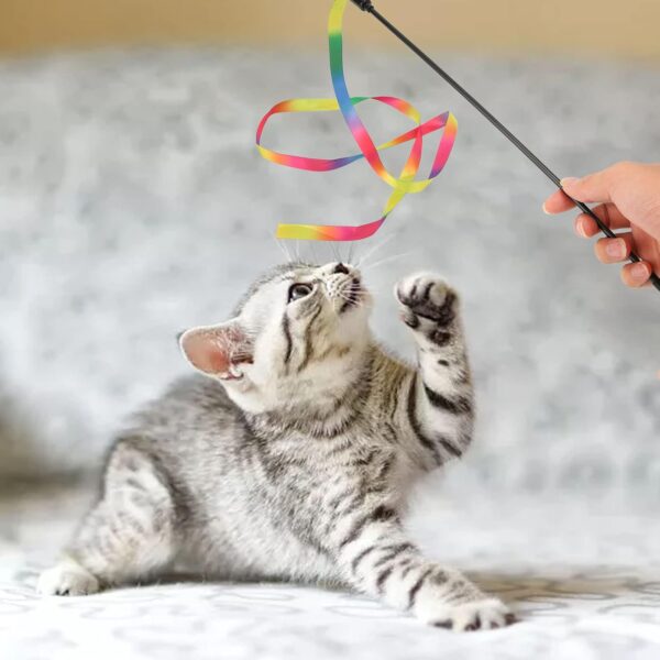 Pssopp 3 Pcs Interactive Cat Wand Toys,Colorful Boredom Relief Funny Interactive Cat String Stick Toy Colorful Ribbon Charmer Cat Teaser Toy for Cats - Image 3