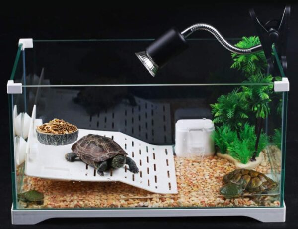 Saim Small Crawler Pet Feeding Round bowl Food Water Non-toxic Resin Dish Suitable for Reptile Turtle Tortoise Scorpion Lizard Crabs Pets Supplies - Image 7