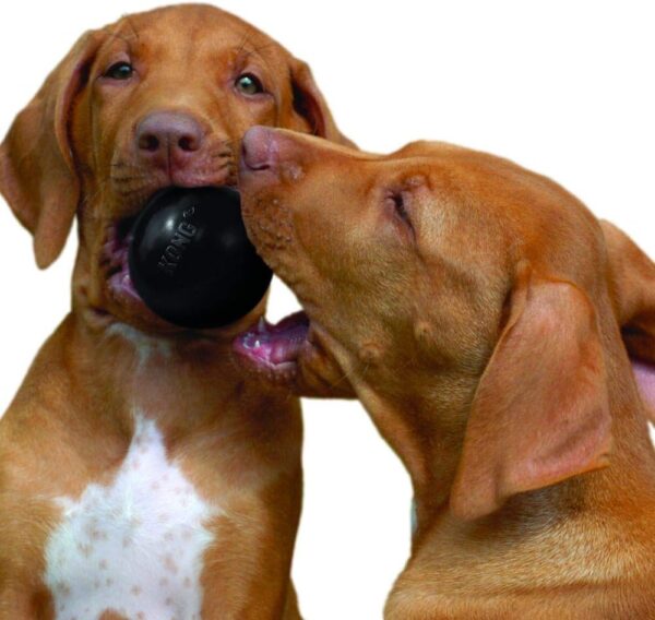KONG - Extreme Ball - Durable Rubber Dog Toy for Power Chewers, Black - For Small Dogs - Image 2