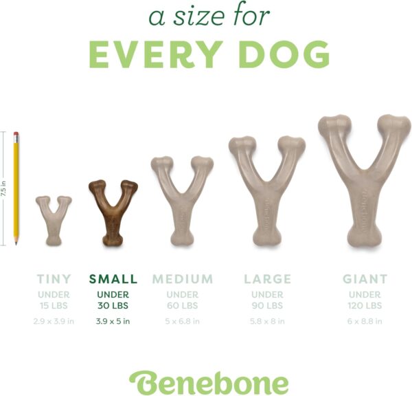Benebone Indestructible Wishbone Dog Chew Toy for Aggressive Chewers, Long Lasting Tough Boredom Breaker for Dogs, Real Bacon Flavour, For Small Dogs, Made in the USA. - Image 4