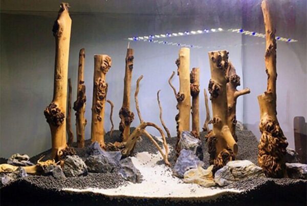 emours Reptile Décor Natural Forest Branch Terrarium Wood Aquarium Ornament, 4 Pack - Image 4