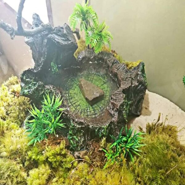 Tikwisdom Reptile water bowl, resin reptile platform designed by rocks and trees, habitat, decorative glass container, water tank decoration - Image 5
