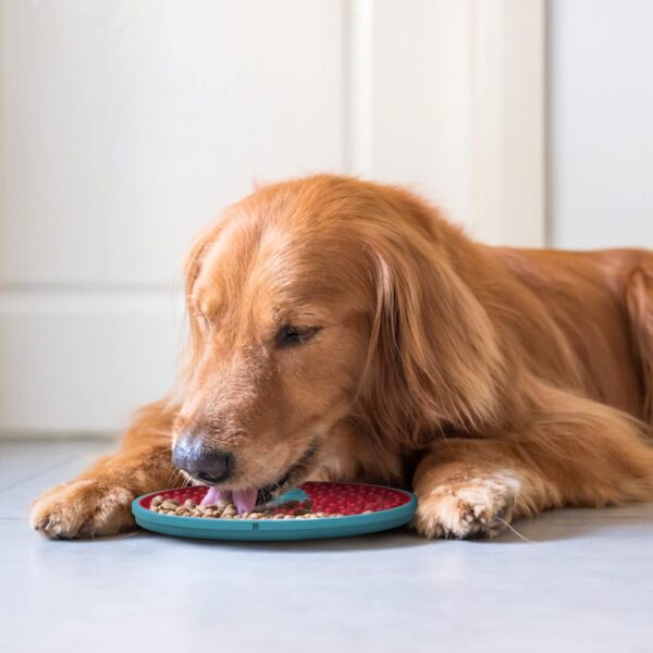 RUCACIO Licky Mats for Dogs and Cats, Crate Lick Mat for Dog Anxiety Relief, Dog Lick Mats Dog Slow Feeding Pad for Bathing, Grooming and Training - Image 3