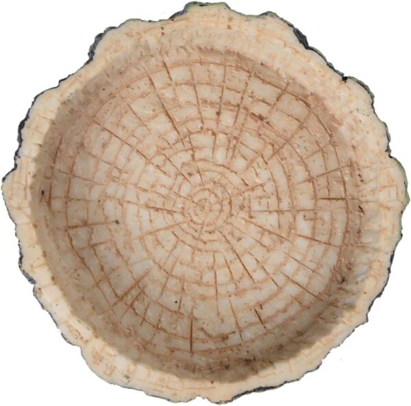 Saim Small Crawler Pet Feeding Round bowl Food Water Non-toxic Resin Dish Suitable for Reptile Turtle Tortoise Scorpion Lizard Crabs Pets Supplies - Image 4